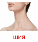 0601igwq-3853-125x137.png