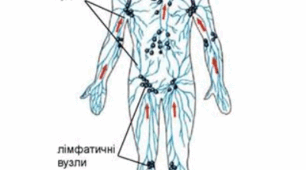 ІМУННА СИСТЕМА. ІМУНІТЕТ СПЕЦИФІЧНИЙ І НЕСПЕЦИФІЧНИЙ. ІМУНІЗАЦІЯ