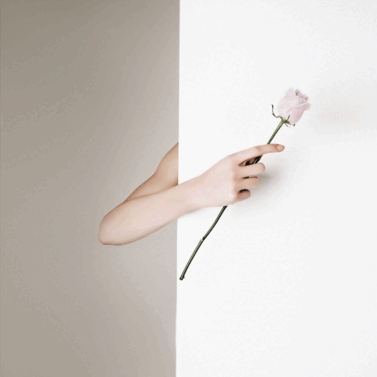 0601ij0m-9aed-377x377.png