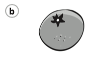0601ir0q-f835-187x118.png