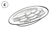 0601ir2l-6619-197x115.png