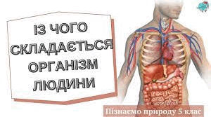 5 клас Контрольна робота за темою: Таємниці організму людини.
