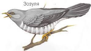 0601itkh-9e95-298x168.jpg