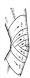 0601iw6z-4285-59x152.png