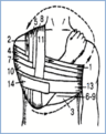 0601iw80-94df-96x121.png