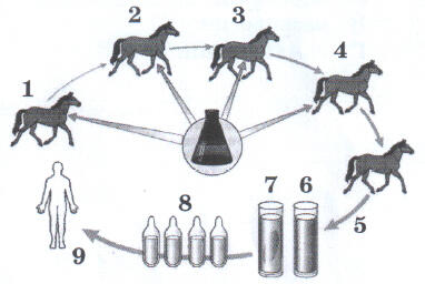 0601iwvm-da7d-382x256.jpg