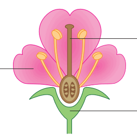 0601j49s-5a12-274x277.png