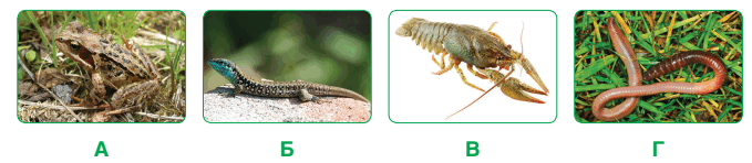 0601j4fu-51ef-679x148.png