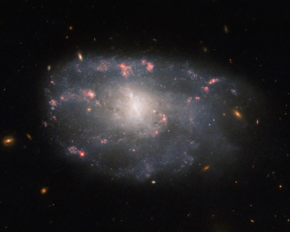 "Напрямна" галактика знаходиться в сузір'ї Великої Ведмедиці / фото ESA / Hubble & NASA, C. Kilpatrick