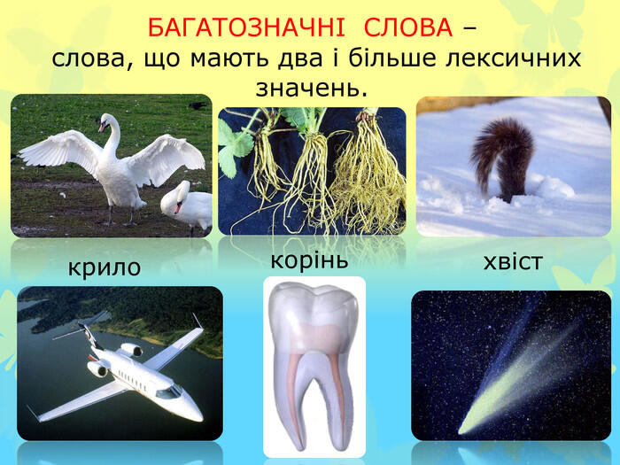 Презентація "Однозначні та багатозначні слова. Пряме й переносне значення слова"