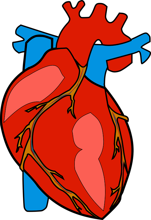 0601ja5r-c838-493x720.png
