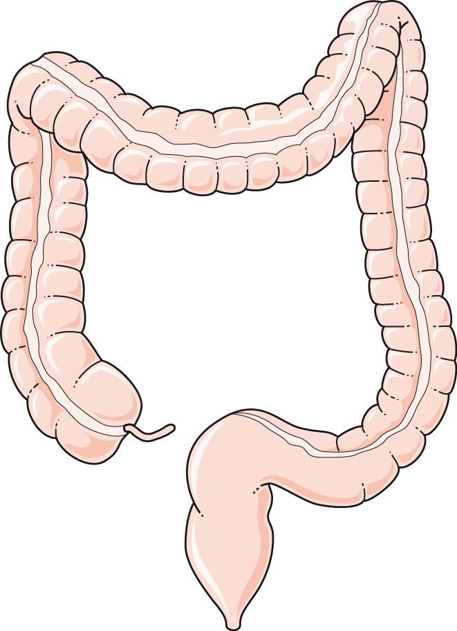 0601ja6e-fef5-661x913.png
