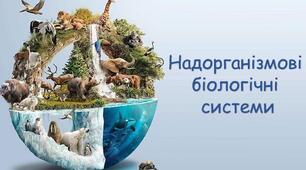 Контрольна робота з теми: «Надорганізмові біологічні системи»