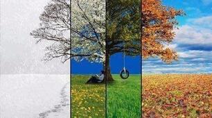 Діаностувальна робота 3 клас №8 Seasons, Weather, Clothes