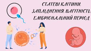 Презентація на тему: "Статеві клітини. Запліднення. Вагітність. Ембріональний період."