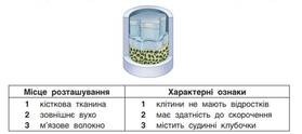 0601jjv6-6cf8-279x124.jpg