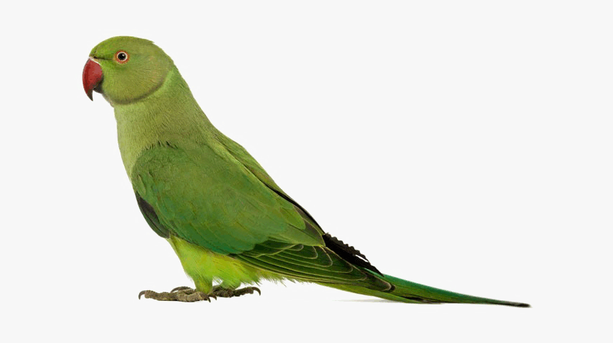 0601jnxu-745d-860x481.png