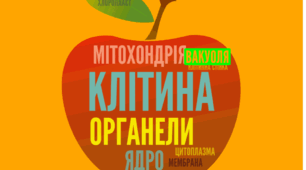 Контрольна робота підсумкова.