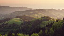 The Most Beautiful Forests in the World | Condé Nast Traveler