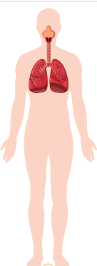 0601jwa7-3c6e-198x538.png