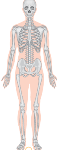 0601jwba-f179-199x521.png