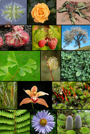0601jwpq-f29f-316x468.png