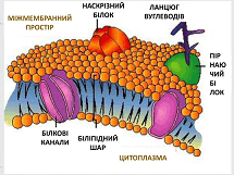 0601jwuq-e272-215x161.png