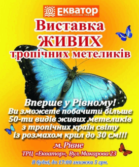 0601kc1f-aba8-274x329.png