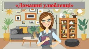 Відео заняття: "Домашні улюбленці"