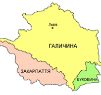 0601kf9g-7743-204x192.png