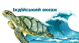 Знавець Індійського океану
