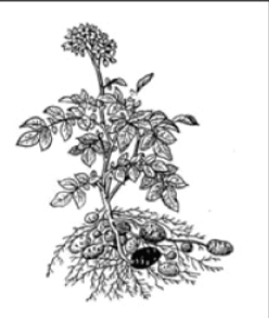 0601kj76-36e4-248x293.png