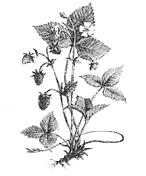 0601kj86-7ea3-146x176.jpg