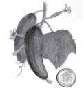 0601kjd3-b87c-122x138.png