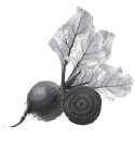 0601kjd4-9153-125x138.png