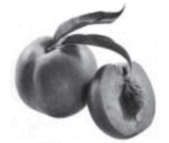 0601kjiu-9a9d-237x201.png