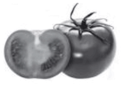 0601kjiz-d930-248x191.png
