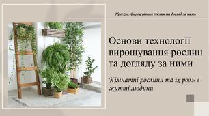 Проєкт . Вирощування рослин та догляд за ними. Кімнатні рослини та їх роль в житті людини.  Презентація. НУШ