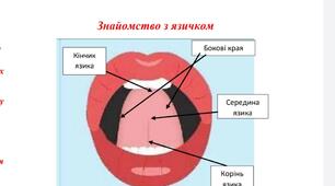 Зошит д.з. з логопедії для дітей та їх батьків