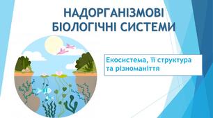 Надорганізмові біологічні системи