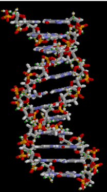0601kmsv-3cee-208x374.png