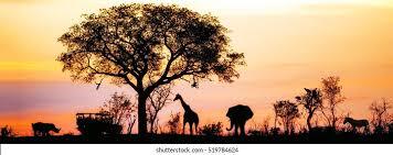 342 262 рез. по запросу «Savannah safari» — изображения, стоковые фотографии, трехмерные объекты и векторная графика | Shutterstock