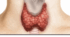 Тестові завдання з відповідями : Ендокринна система Біологія 8 клас
