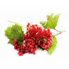 ᐉ Калина — купити по ціні 115,30 грн/кг • Київ, Харків, Дніпро • FRUIT TIME