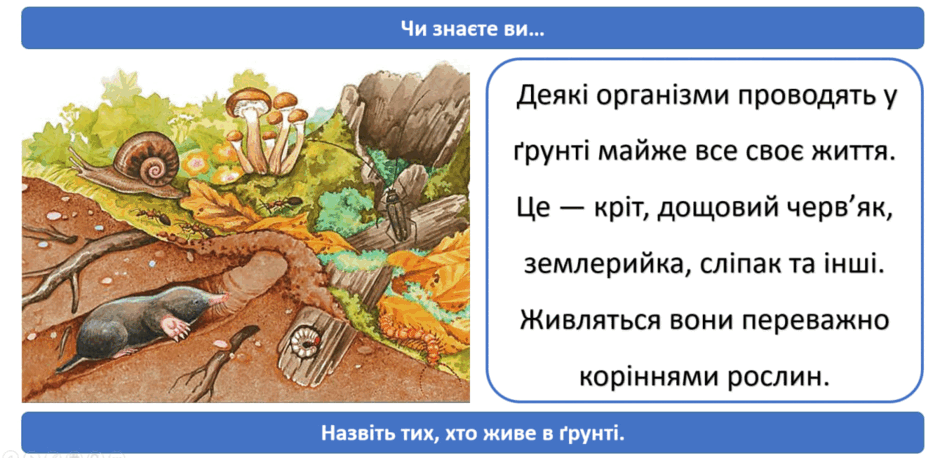 0601kvw7-270b-940x458.png