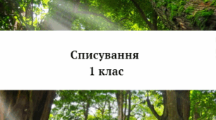 Діагностична робота .Списування . 1 клас