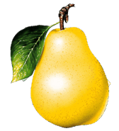0601kyem-9d5d-168x185.png