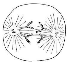 0601kyqj-8246-235x214.jpg