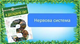 Презентація "Нервова система людини"
