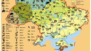 Практична робота № 8  "Позначення на контурній карті об’єктів природно-заповідного фонду України."